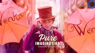 Vietsub  Pure Imagination  Timothée Chalamet  Nhạc Phim Wonka [upl. by Lester]