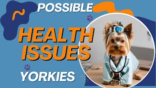 Does your Yorkshire Terrier have any of these health issues Top TIPS on How to Prevent Them [upl. by Eydnarb]