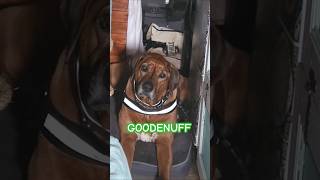 Ridgeback claims more territory in van takeover [upl. by Monie494]