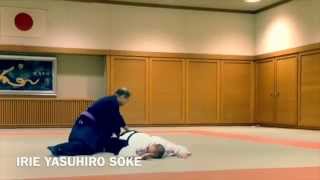 KoKoDo JuJutsu Taikai 2014 [upl. by Laerdna]