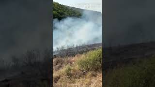 Incendiu vegetatie Cuzdrioara  Cluj  2 sept 2024 [upl. by Haven967]