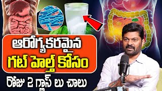 Probiotics  ప్రో బయాటిక్స్  Benefits  Myths  Improve Gut Health  Dr Somashker iDreamDoctor [upl. by Nnylarak]