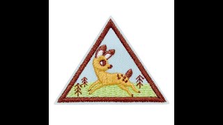 Brownie Eco Friend Badge Step 1 [upl. by Ynomrah227]