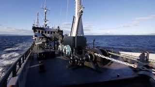 Sea Shepherds Bob Barker Crew Prepares for Operation Divine Wind [upl. by Lonne]