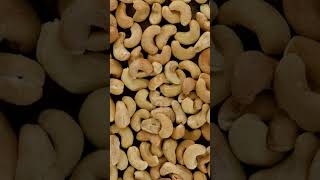 Important fact of cashew cashewfact dailyfactvideo youtubefact cashewkefayde oneshort gkfacts [upl. by Euqinomod]