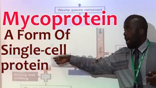 Mycoprotein  B34 [upl. by Rafaela]