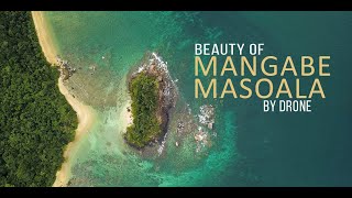 Beauty Of Madagascar 14 Mangabe Masoala [upl. by Raamaj]