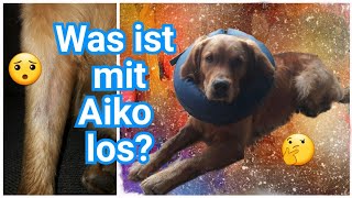 Was ist mit Aiko los Allergien [upl. by Aramois]