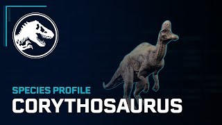 Species Profile  Corythosaurus [upl. by Cirilo]