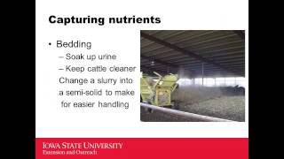 Manure and nutrient production bedding design tips for beef barns [upl. by Cozmo]