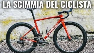 La Scimmia del Ciclista [upl. by Renzo]