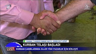 Kurban Telaşı Başladı Kurban Çadırları Pazarlık İçin Kuruldu [upl. by Timus]