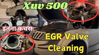 Mahindra XUV 500 EGR Cleaning [upl. by Alarice413]