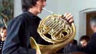 mozart horn concerto nr2 [upl. by Michaud]