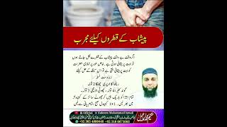 پیشاب کے قطروں کے مجرب و لاجواب نسخہ hakeemismail foryou urduquotes monitezation vairalvideo [upl. by Oidale]