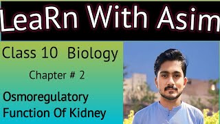 10th biology chapter 11  Osmoregulatory Function Of Kidney  chapter 2 homeostasis 10thbiology [upl. by Yerhcaz]