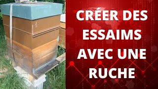 apiculture CRÉER DES ESSAIMS AVEC UNE RUCHE [upl. by Jalbert]