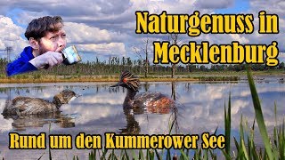 Naturgenuss in Mecklenburg  Rund um den Kummerower See [upl. by Ecirtnas521]