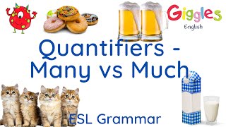 ESL Quantifiers  Many vs Much [upl. by Nimzay]