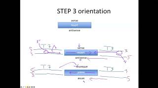 SLIC worksheet solution [upl. by Monika]