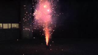 Sacramento Bee Firework Review  Phantom Alpha Wolf [upl. by Anaejer]