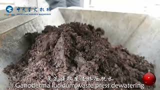 Ganoderma Lucidum Waste Organic Waste Screw Press Dewatering screwpressmachinery [upl. by Neehs]