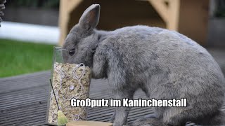 Großputz im Kaninchenstall ROUTINE🍁🧹 Amelies Tierwelt 💕 [upl. by Nalyorf]