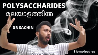 polysaccharides  biomolecules  malayalam  class 11  knowledge vlogger  biology  NEET  NCERT [upl. by Vaclav775]