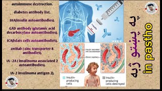 Diabetes antibodyIAA testinsulin antibodiesGAD antibodyICA testZNT8AB IA2A IA2 in pastho [upl. by Chapland]