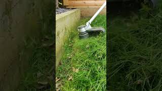 Stiga Strimmer Cutting Grass shorts asmr satisfying string trimmer youtubeshorts weedeater [upl. by Nosrak]