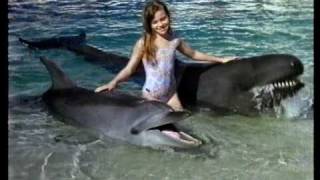 Sea World Souvenir Video [upl. by Behlau]