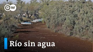 Se seca el segundo río más largo de Sudamérica [upl. by Merc]