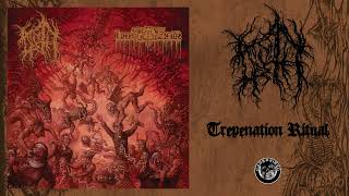 NorothGrave Infestation Split Full Album [upl. by Ladnek]