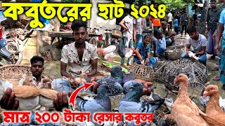 মাত্র ২০০ টাকায় রেসার কবুতর  আবাদের কবুতর হাট  kobutor hat 2024  pigeon market in bangaldesh [upl. by Waterer]