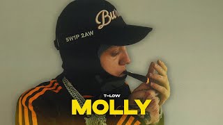 tlow  MOLLY OFFICIAL VIDEO prod808Vibes [upl. by Janna192]