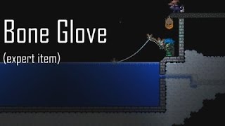 Terraria Expert Item Bone Glove Костяная перчатка [upl. by Reynard461]