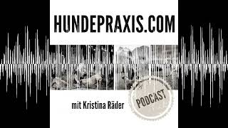 Der 1 Jagdhunde OnlineKongress  Hundepraxis  der Podcast [upl. by Harmonia]