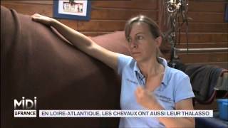 Animaux  En LoireAtlantique les chevaux ont aussi leur thalasso [upl. by Janaya]