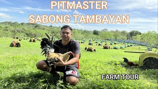 PITMASTER SABONG TAMBAYAN FARM TOUR [upl. by Ahsaten]