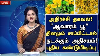 ஆவாரம் பூ புதிய அதிசய தகவல்  Health Benefits of Avaram Poo in Tamil  avarampoo Health Tips Tamil [upl. by Norabel570]