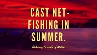 Relaxing Sounds of Cast NetFishing in Summer Sound of Nature [upl. by Anihtyc]