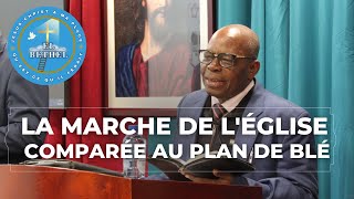 LA MARCHE DE LÉGLISE COMPARÉE AU PLAN DE BLÉ [upl. by Grewitz860]