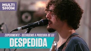 Selvagens a Procura de Lei  Despedida  Experimente  Música Multishow [upl. by Yalhsa]