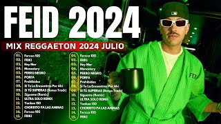 Feid Type Beat 2024 💚 Mejores Canciones de Feid 💚 Grandes Éxitos De Feid 💚 MIX REGGAETON 2024 JULIO [upl. by Lilithe757]