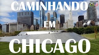 CAMINHANDO EM CHICAGO  ESTADOS UNIDOS [upl. by Aggy]