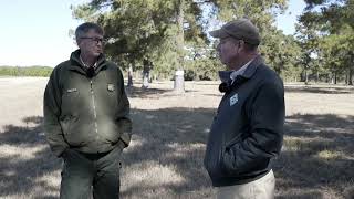 Orchard Produces Loblolly Pine Seeds [upl. by Helyn]