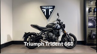 Trident 660 black [upl. by Annairam]