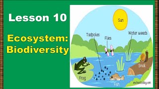 Lesson 10 Ecosystem Biodiversity [upl. by Epilihp]