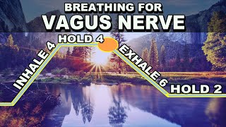 Breathing Exercise for Vagus Nerve Stimulation [upl. by Esinal512]