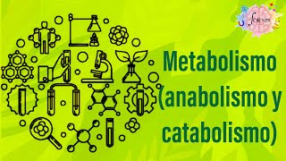 Metabolismo anabolismo y catabolismo [upl. by Benji423]